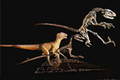 Обнаружен еще один вид динозавров, практиковавших каннибализм