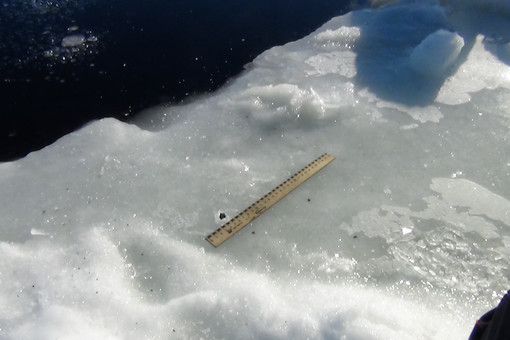 Водолазы не нашли метеорит в озере, но его обломки находились на льду водоема