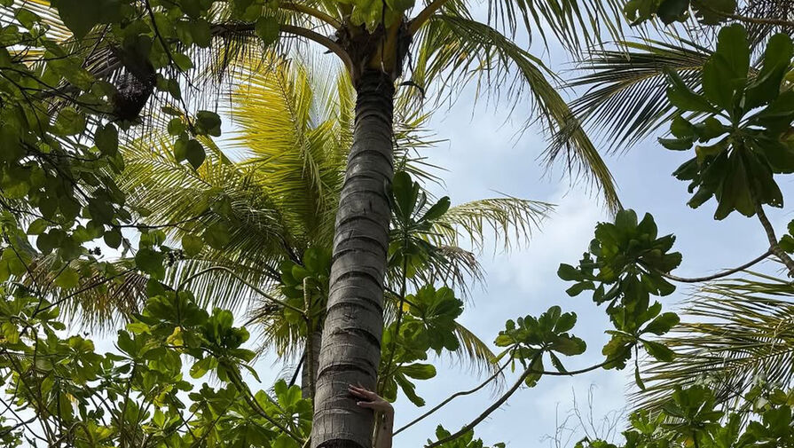 Балерина Анастасия Волочкова опубликовала фото в крошечном бикини