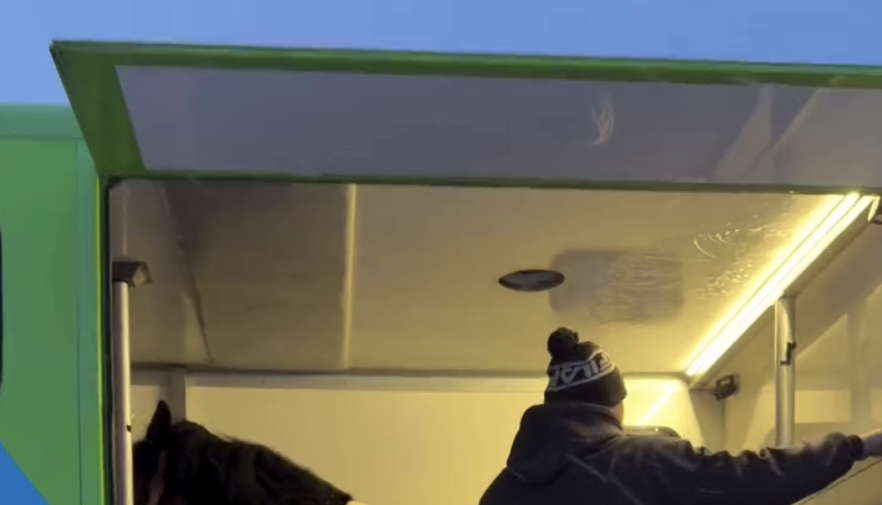 Бизнесвумен Оксана Самойлова подарила себе лошадей в Новый год