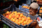 Россия наказала Албанию за реэкспорт овощей и фруктов