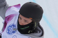 Александр Сладков
