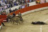� ���������, ����� ������ ����� &ndash; 570-������������� ��������� &ndash; �������� ���������...