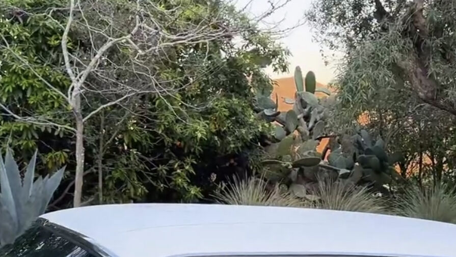 Актриса Ева Мендес в майке снялась за рулем автомобиля