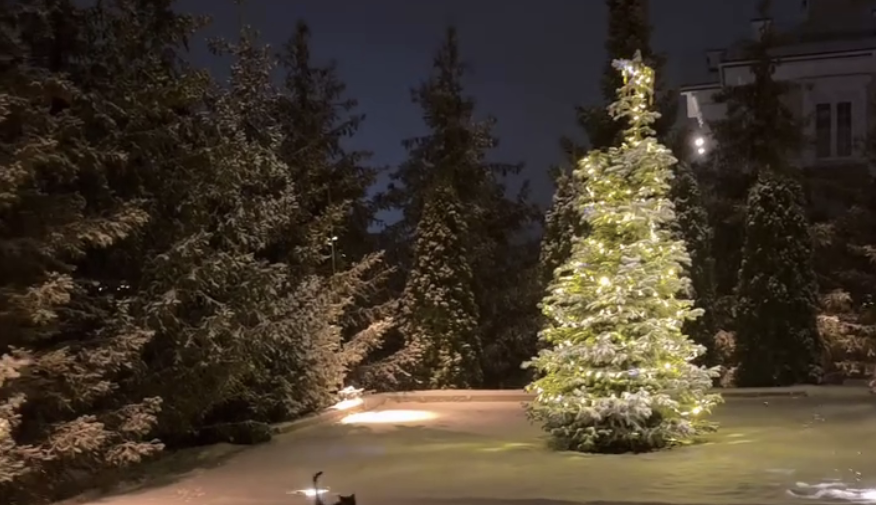 Певица Ольга Серябкина показала новогодний декор загородного дома