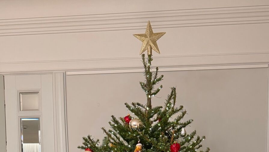 Модель Елена Перминова опубликовала фото новогодней елки