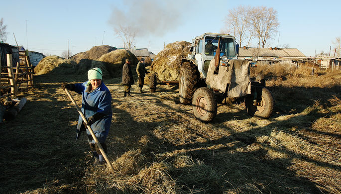 Уборка сена в деревне Юный Пионер в Новосибирской области, 2012 год