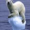 Reuters