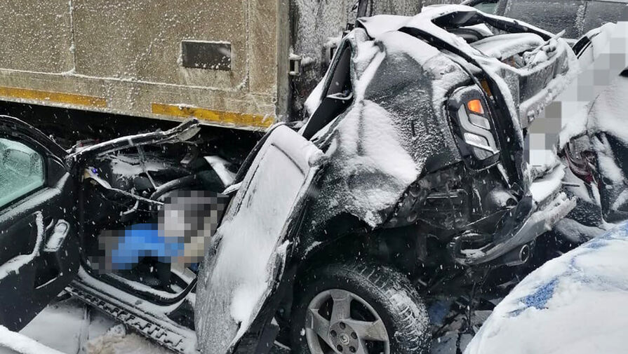 На трассе М-11 в Новгородской области в массовом ДТП столкнулись более 40 машин, погибла женщина