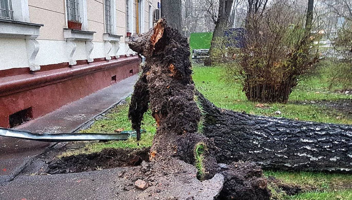 Последствия штормового ветра в Лосиноостровском районе, Москва, 21 апреля 2018 года