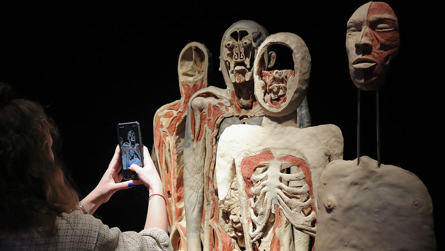 Экспонаты анатомической выставки доктора Гюнтера фон Хагенса «Мир тела» (Body Worlds) на ВДНХ в Москве