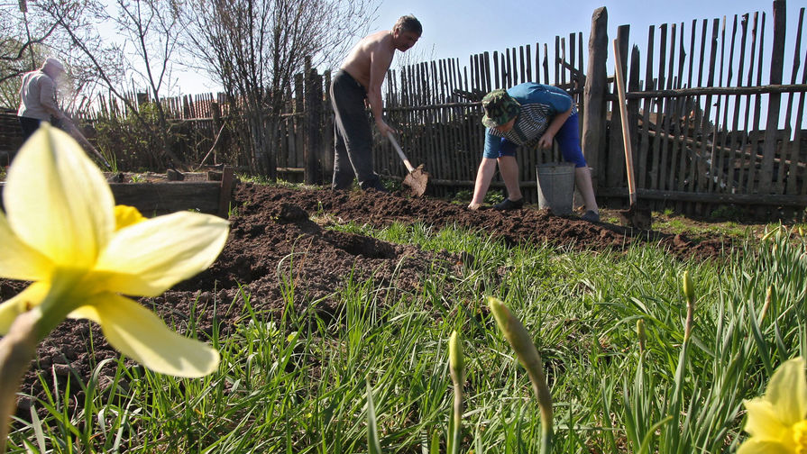 : gazeta.ru