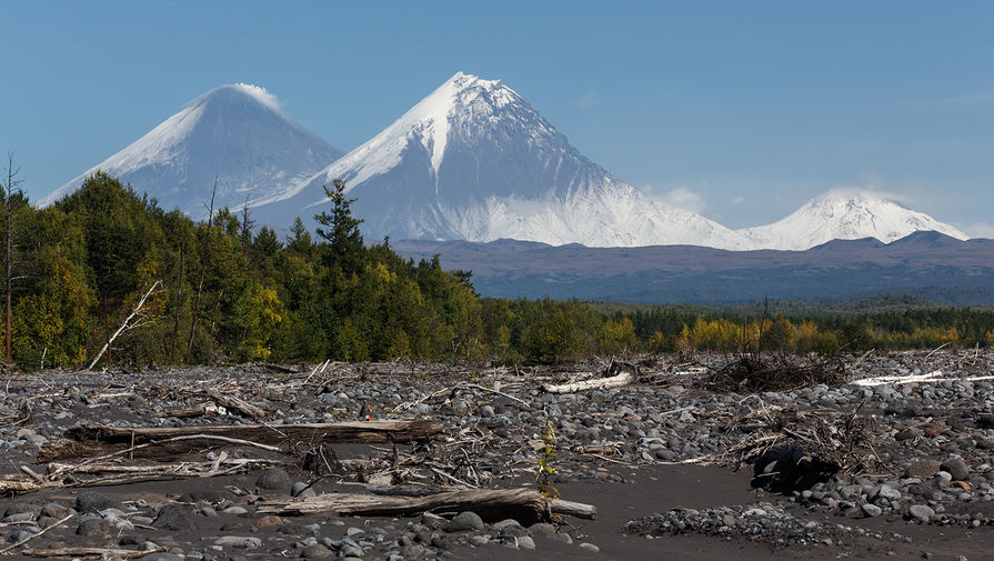 : gazeta.ru