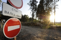 http://img.gazeta.ru/files3/362/1537362/lessolnze2.JPG