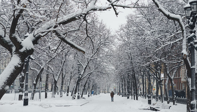 Последствия снегопада в Москве, 31 января 2017 года