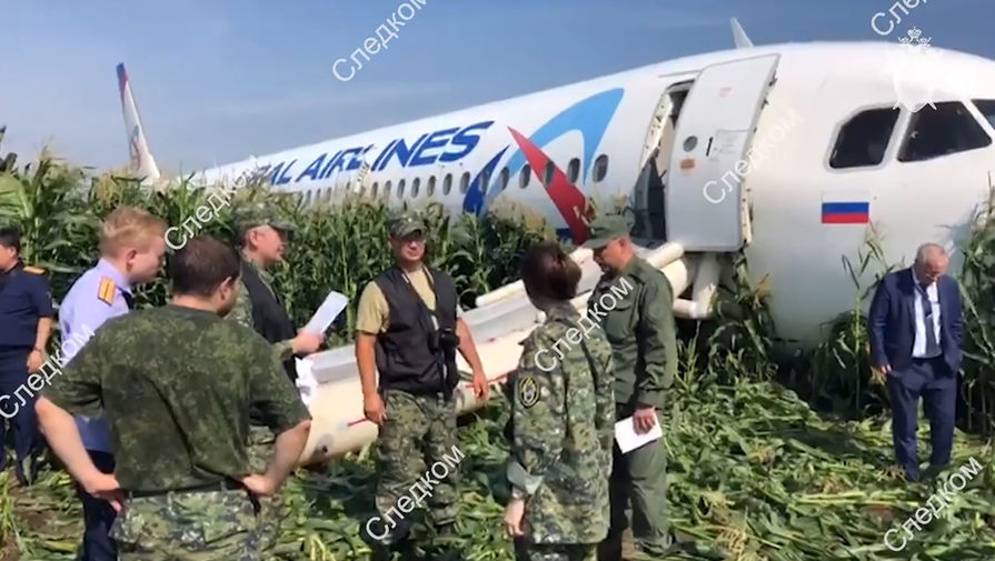 На месте аварийной посадки самолета A321 «Уральских авиалиний» в Подмосковье, 15 августа, 2019 года