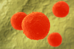 ������ �� ������ ����������� ����� ���������� ������������� ���������� ��������� ������