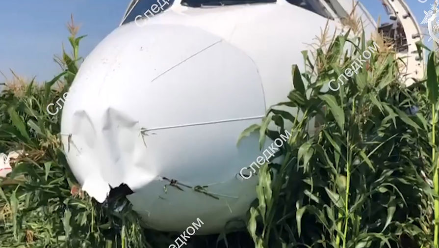 На месте аварийной посадки самолета A321 «Уральских авиалиний» в Подмосковье, 15 августа, 2019 года