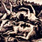 Jacobus Eussen