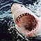 goexplore.com.au