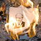Reuters
