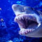 Thinkstock/East News