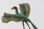 Таинственный археоптерикс умел летать и напоминал ворону