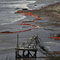 Reuters