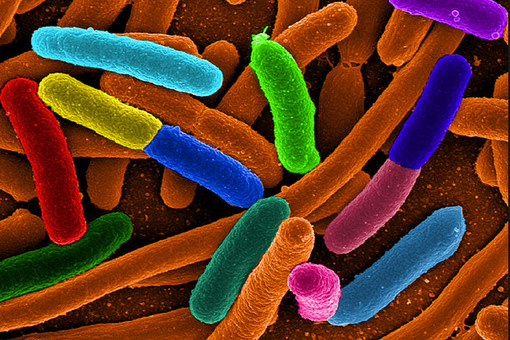 �� ��������� ���� ������������ �������� ������� �����������������