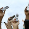 thinkstockphotos.com/fotobank.ru