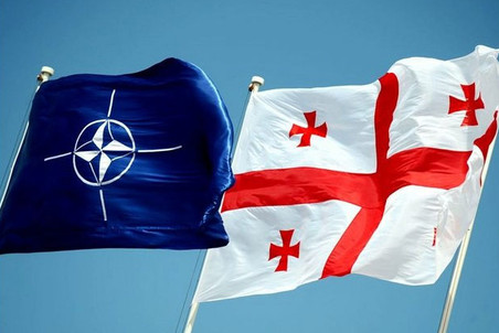 В сенат США внесен законопроект об углублении военного сотрудничества с кандидатами в НАТО, в том числе с Грузией В сенат США внесен законопроект об углублении военного сотрудничества с кандидатами в НАТО, в том числе с Грузией