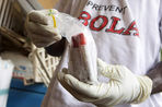 Разработчики не разглашают подробностей создания российских вакцин против вируса Эбола