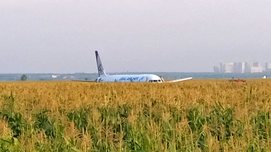 На месте аварийной посадки самолета A321 «Уральских авиалиний» в Подмосковье, 15 августа, 2019 года