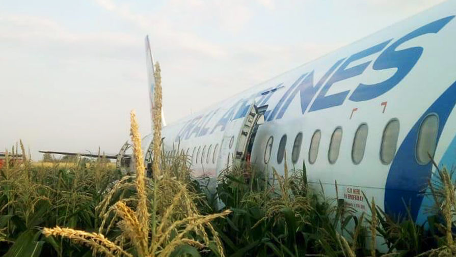 На месте аварийной посадки самолета A321 «Уральских авиалиний» в Подмосковье, 15 августа, 2019 года