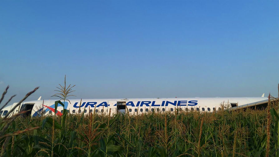 На месте аварийной посадки самолета A321 «Уральских авиалиний» в Подмосковье, 15 августа, 2019 года