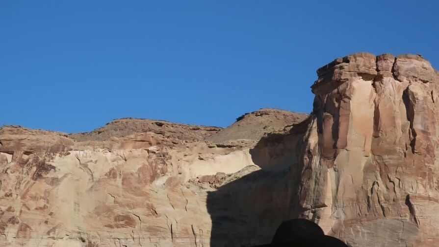 Дочь президента США Трампа Иванка снялась в кожаном платье с декольте