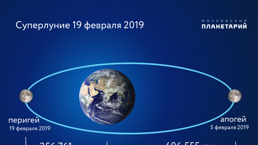 орбита