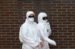 Вероятность проникновения вируса Эбола в Россию к концу ноября составит 5%