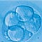 stem-cell-blog.com