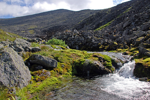 ������������� ���������� ������������� ������ ����� ������