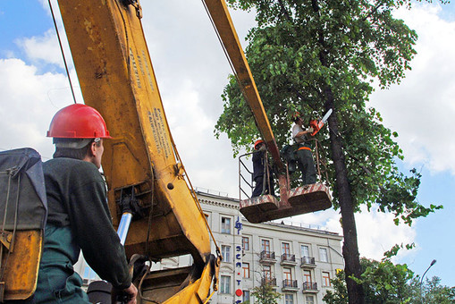 ��������� ������ ���������� ����������� ��������� ����� �� ��������������� �����������