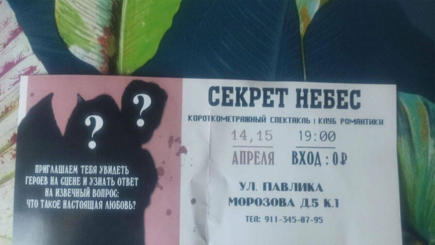 Российских девочек-подростков заманивают в секту спектаклями по игре Клуб романтики