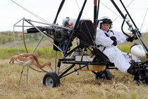 Putin calls opposition "weak cranes" over comments about his recent flight