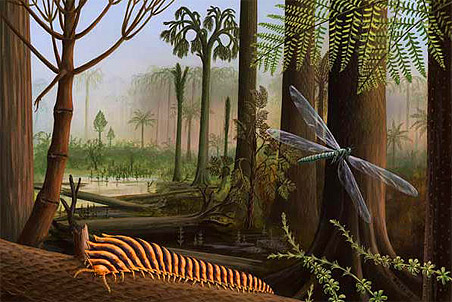  ������������ � �������� ��� � ��������������� �������