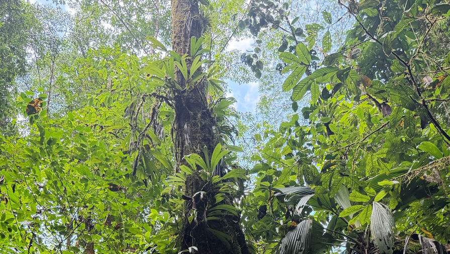 Блогерша Оксана Самойлова снялась в ультракоротком топе и шортах