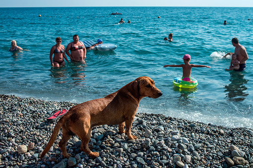 Сочи теряет иностранцев