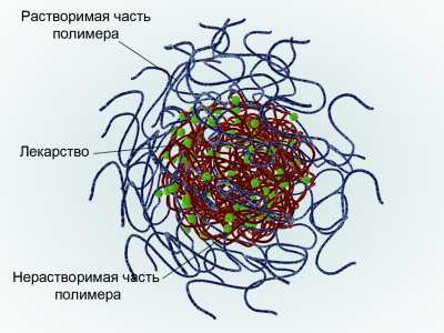 http://img.gazeta.ru/files3/833/3446833/micelle_with_drug1m.jpg