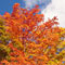 Photos.com/East News
