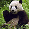 animalplanet.com
