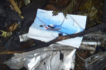 Several bodies of victims of Indonesian plane crash brought to Jakarta, one identified